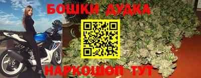 стафф Владимир