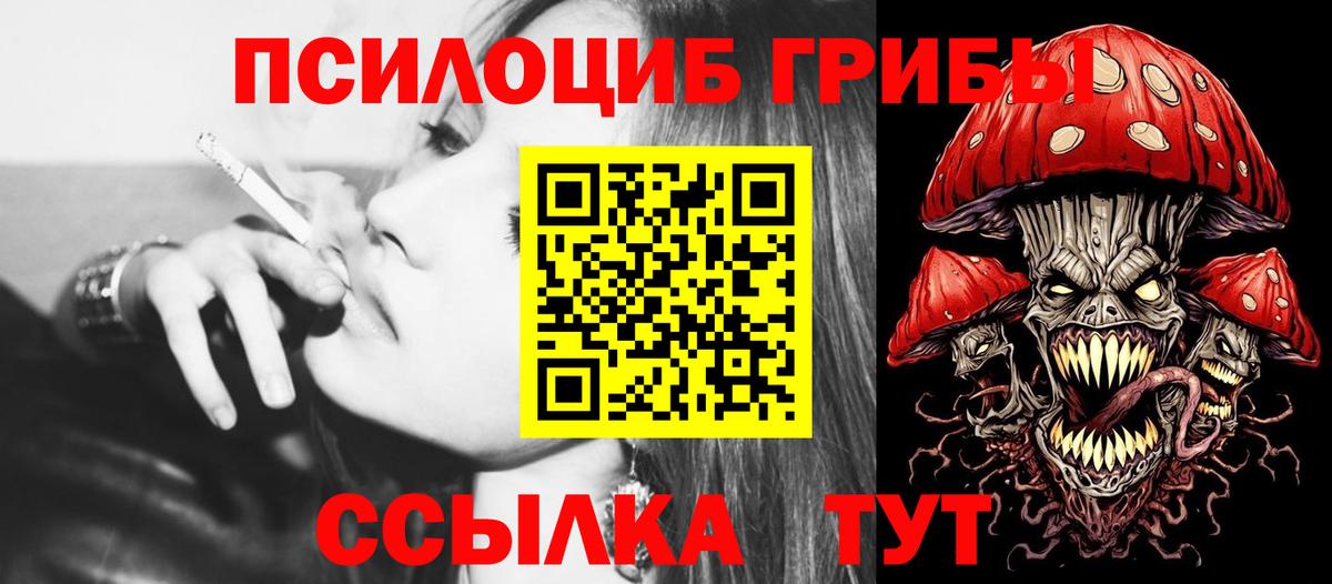Галлюциногенные грибы Psilocybine cubensis Зерноград